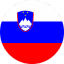 Slovenia flag Iccon (1)